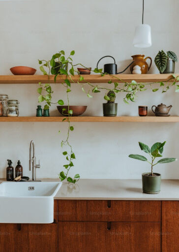 Beautiful kitchen with plants